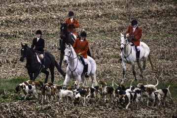 Animal Welfare
